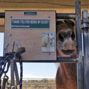 sponsor-horse
